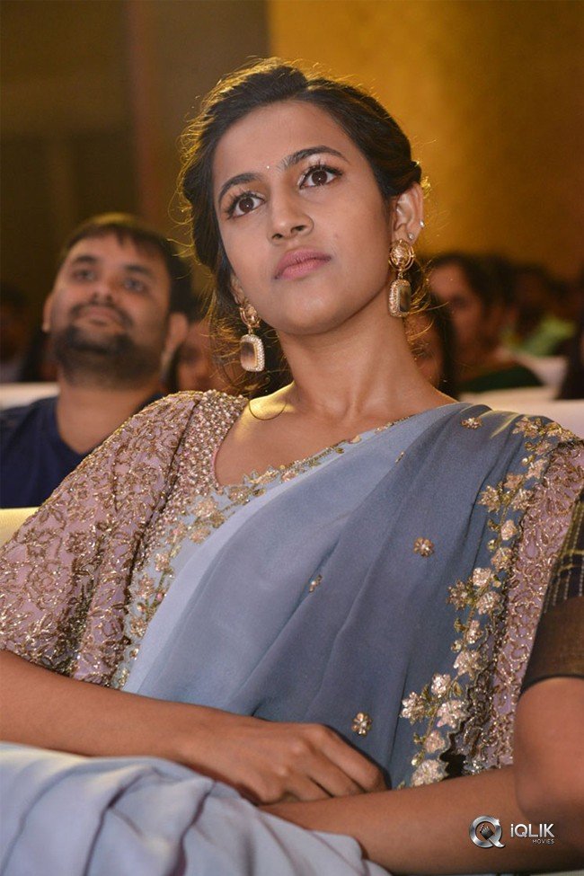 Happy-Wedding-Pre-Release-Event-Photos